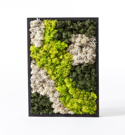 Mosebilde grønn og hvit firkantet Mosebilde grønn og hvit firkantet